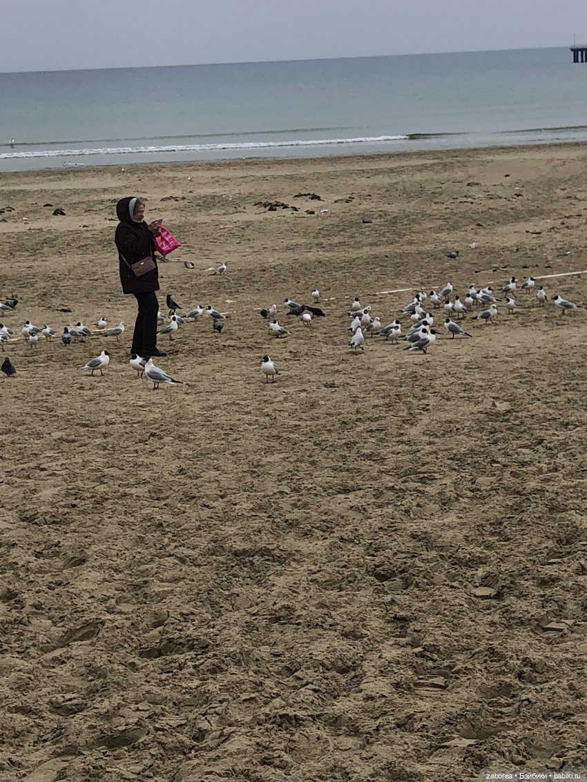 Как хухлик Шмуэль на море ездил