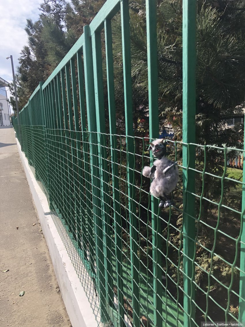 Как хухлик Шмуэль на море ездил (фото 7)