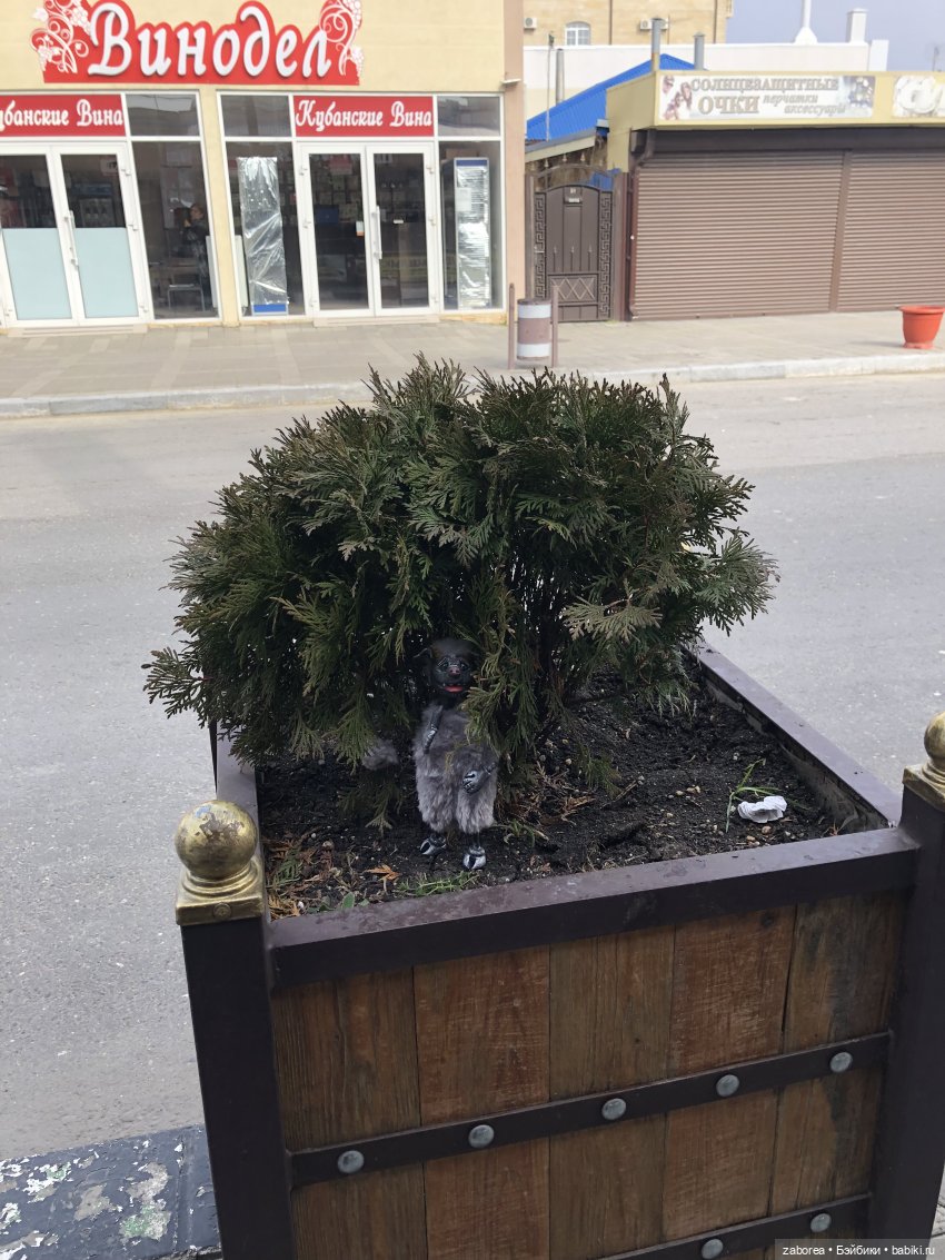 Как хухлик Шмуэль на море ездил (фото 5)