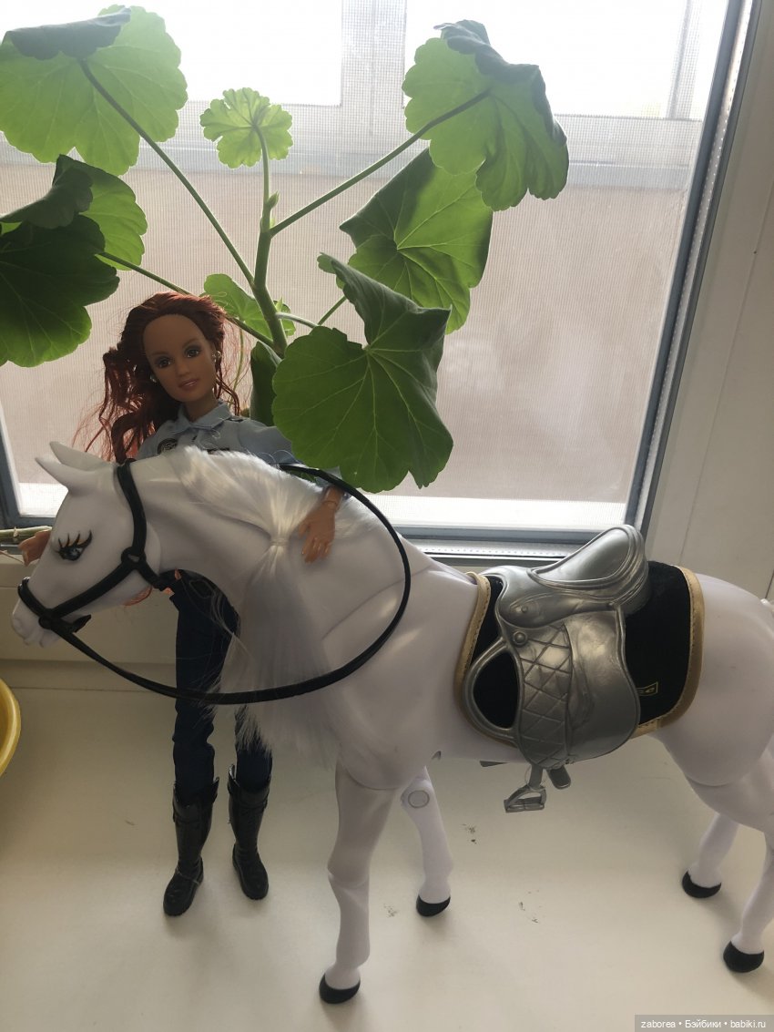 Приехал конь… не той расцветки (фото 5)