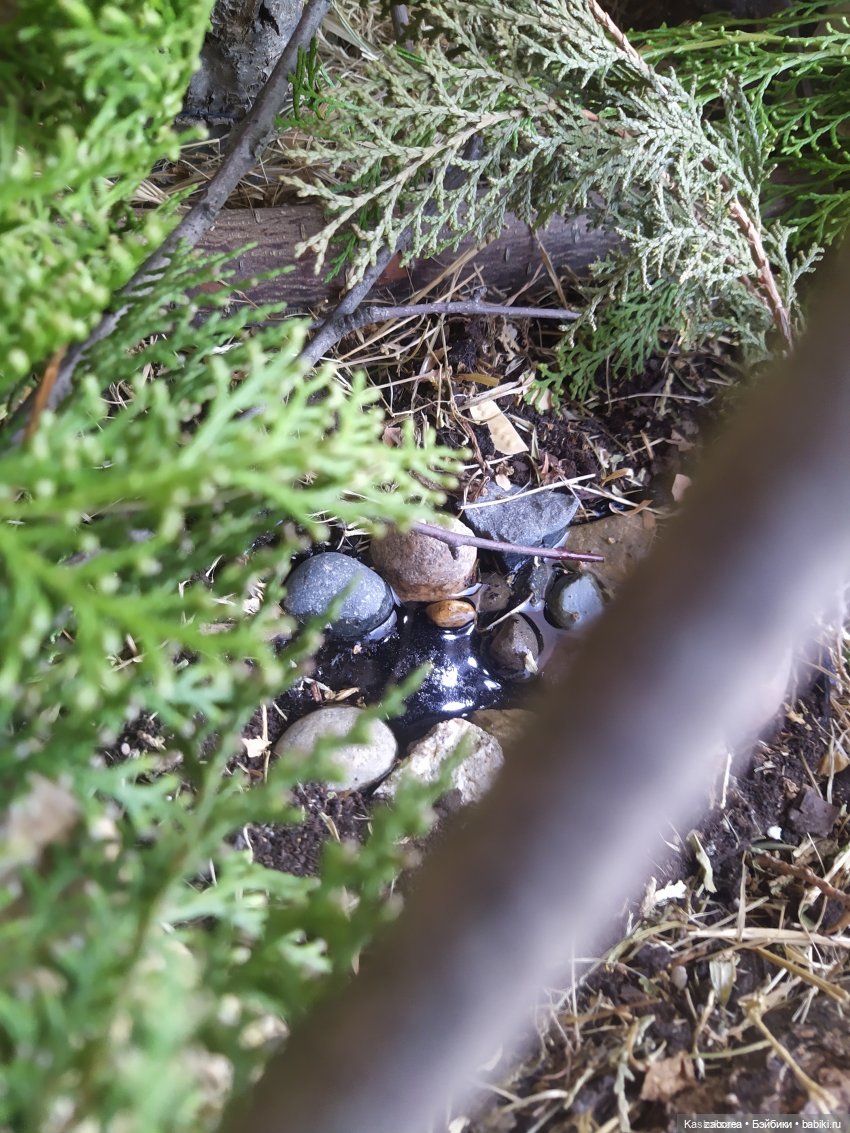 Новогодний вечер в НУИНУ - 2023! По мотивам фильма «Чародеи» | Бэйбики Новогодний вечер в НУИНУ - 2023! По мотивам фильма «Чародеи»