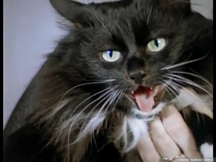 Новогодний вечер в НУИНУ - 2023! По мотивам фильма «Чародеи»