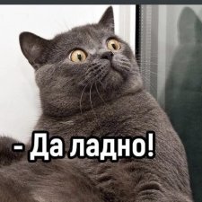 Помогите опознать ЧУДОвище из перехода