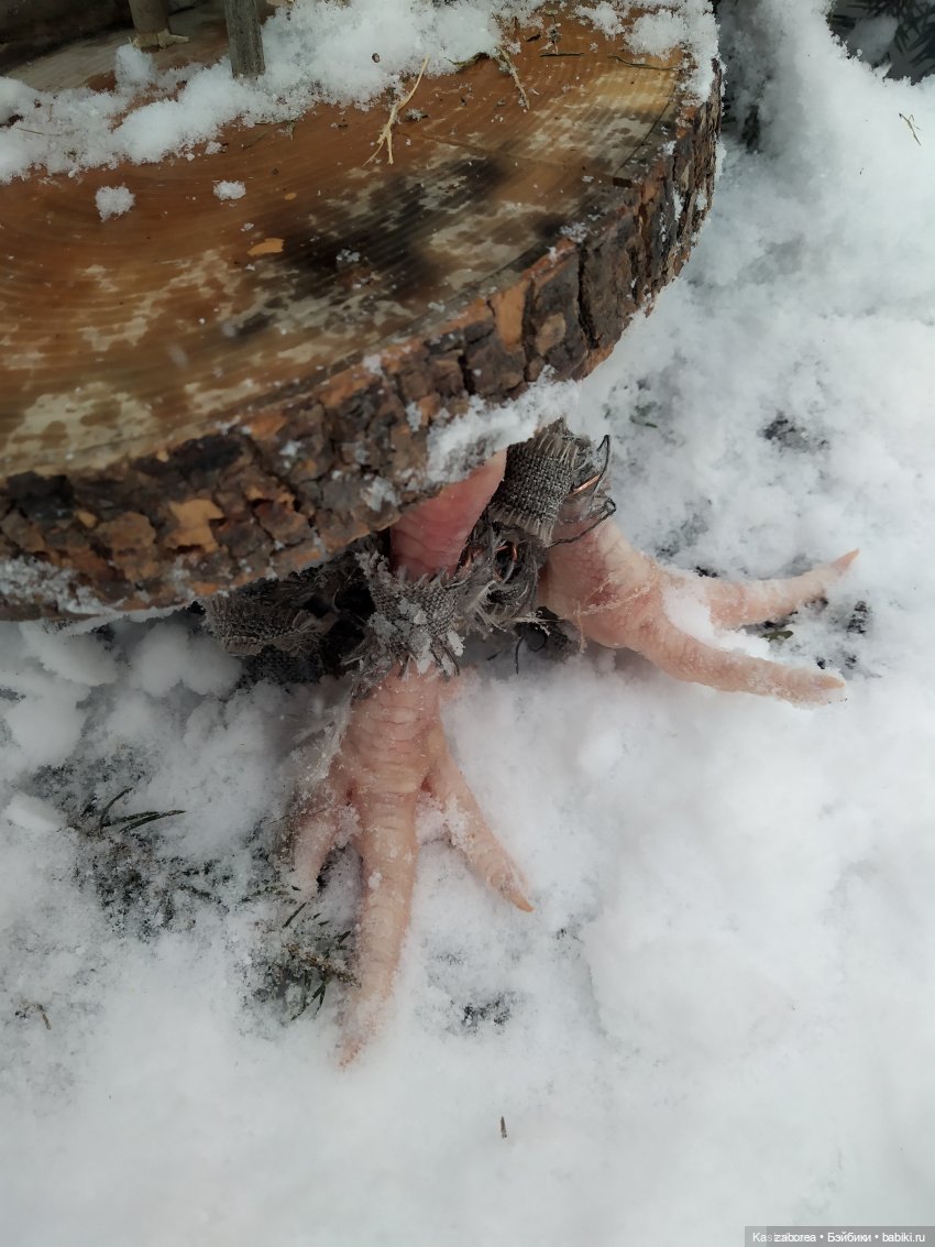 Сказка в стихах о Лукоморье ( Моя версия) (фото 5)