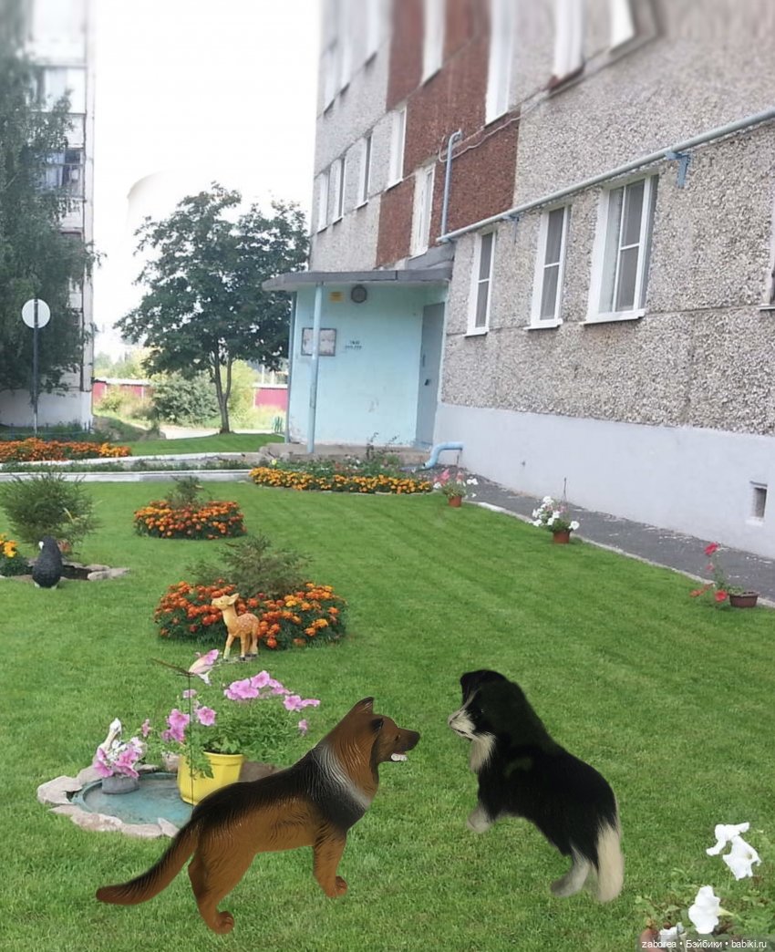 Международный день шутки - 1 июля. Флешмоб