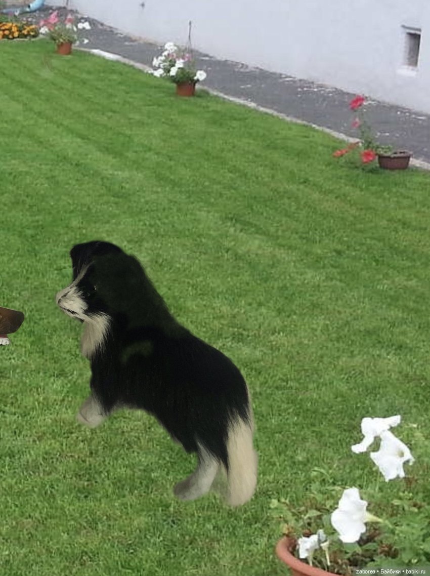 Международный день шутки - 1 июля. Флешмоб