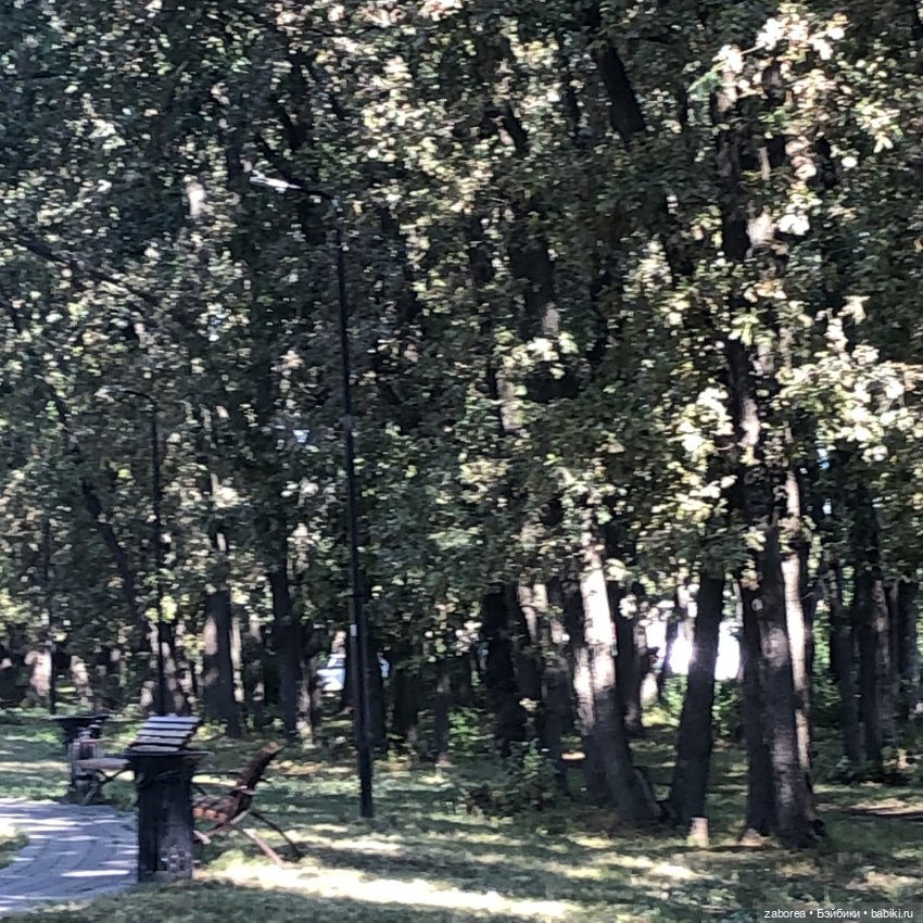 Прогулка в «Дубовой роще» с Машей