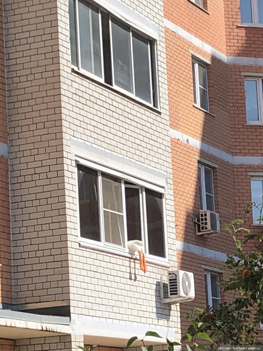 Прогулка в «Дубовой роще» с Машей