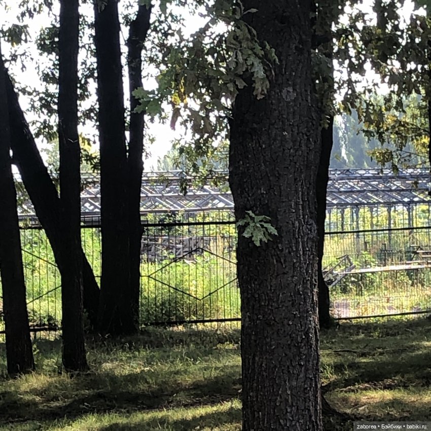 Прогулка в «Дубовой роще» с Машей