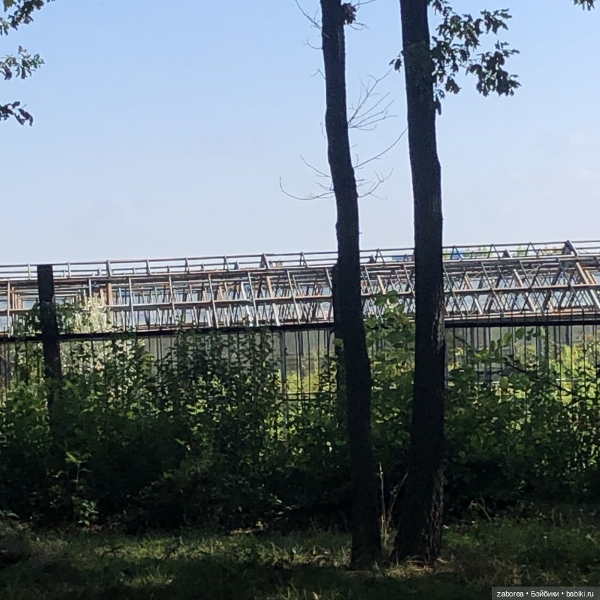 Прогулка в «Дубовой роще» с Машей