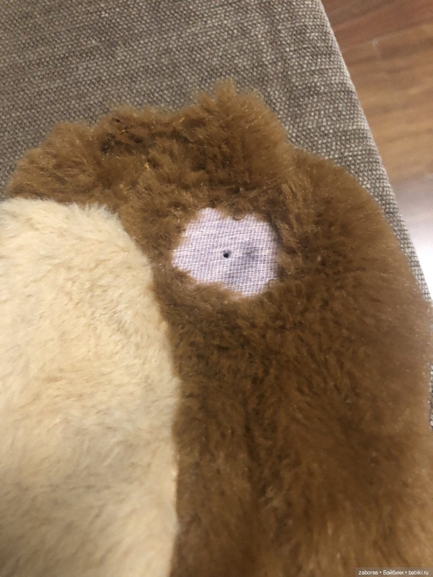 Историческая встреча. Маши и медведь (фото 2)