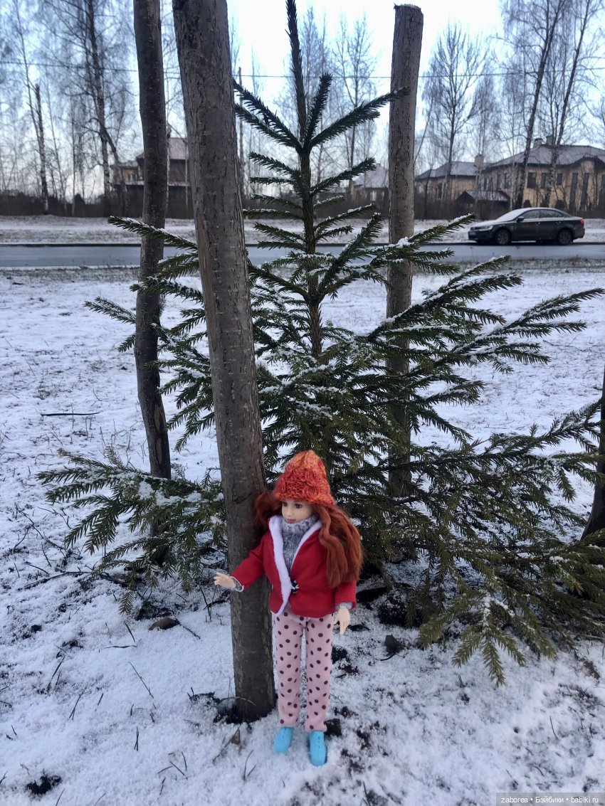 Прогулка с Женькой. Почти детективная история (фото 6)