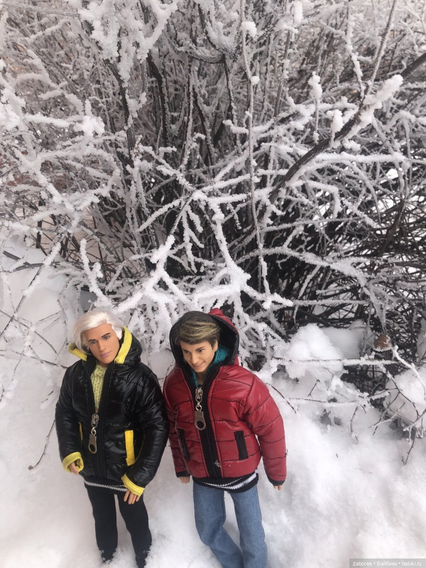 Зимняя прогулка с новенькими (фото 6)