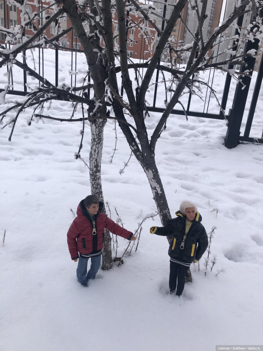 Зимняя прогулка с новенькими