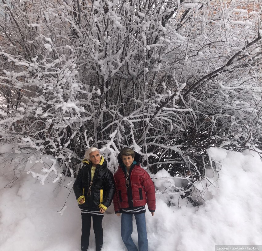 Зимняя прогулка с новенькими (фото 5)