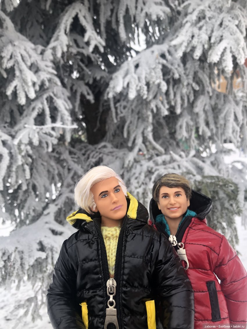 Зимняя прогулка с новенькими