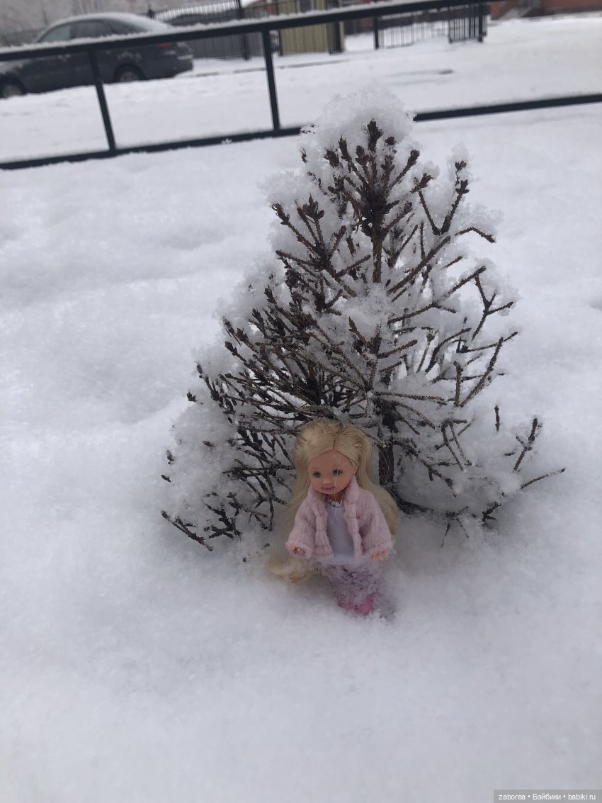 Прогулка с Келли. Зимняя песенка