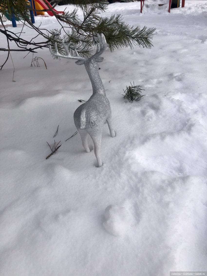 Прогулка с Келли. Зимняя песенка