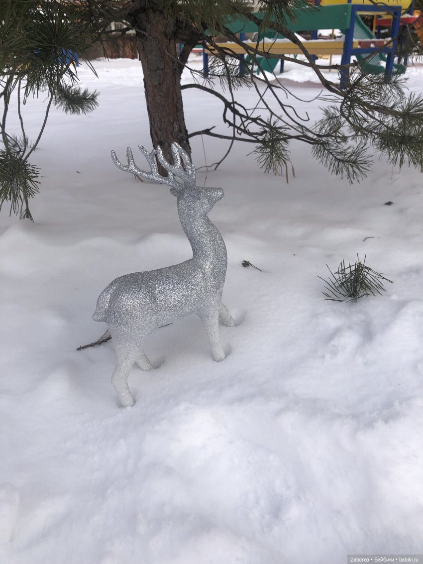 Прогулка с Келли. Зимняя песенка