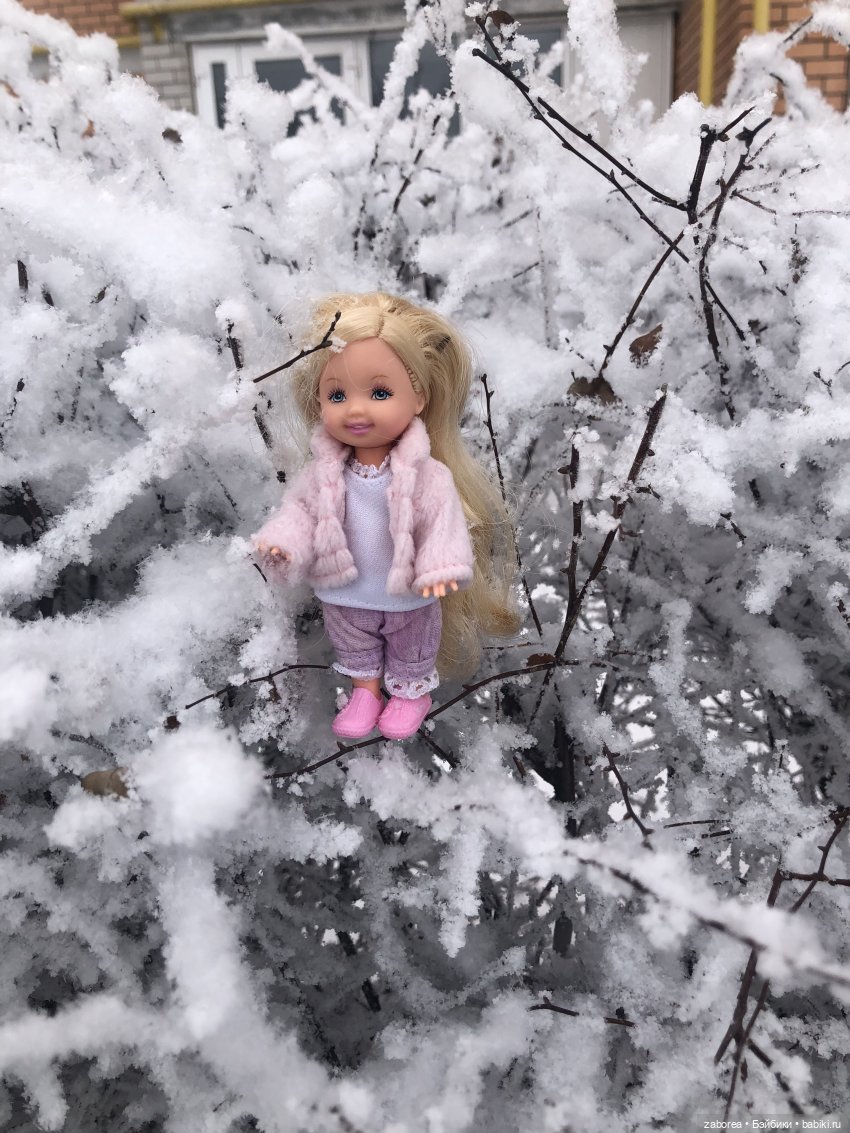 Прогулка с Келли. Зимняя песенка