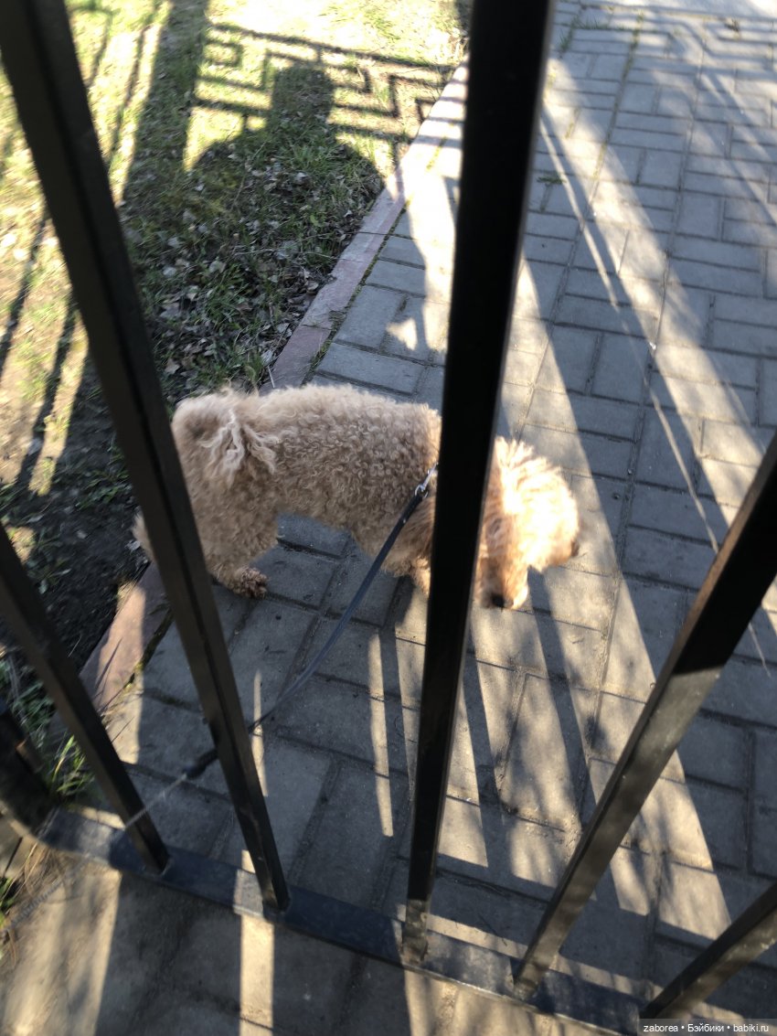 Аглая. Обход участка — Гибриды шарнирных кукол (не БЖД): подбор тела