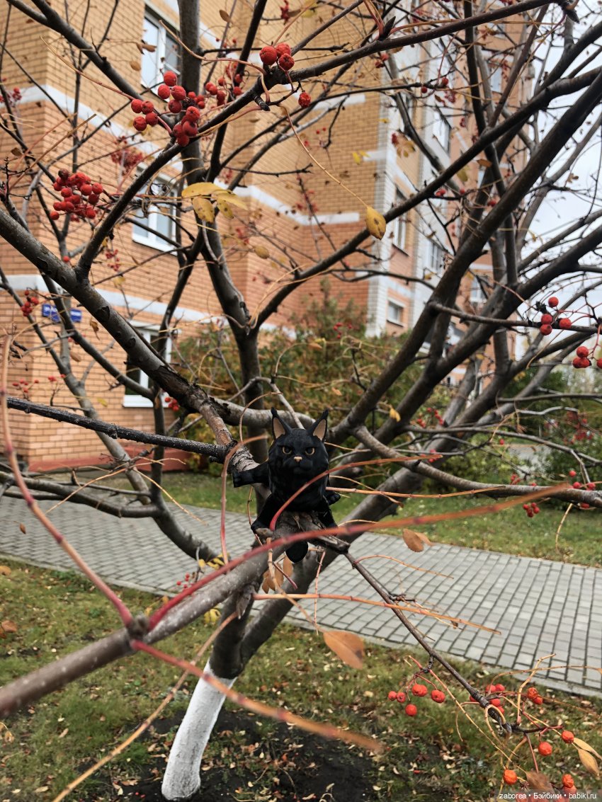 Граф и его осень — Интересные игрушки и фигурки (разное): редкие (фото 7)