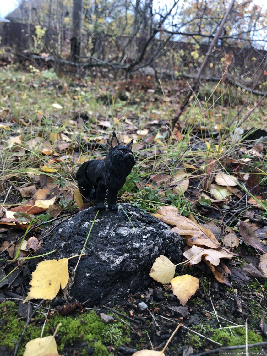 Граф и его осень — Интересные игрушки и фигурки (разное): редкие (фото 3)