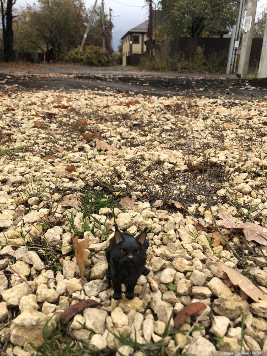 Граф и его осень — Интересные игрушки и фигурки (разное): редкие (фото 4)