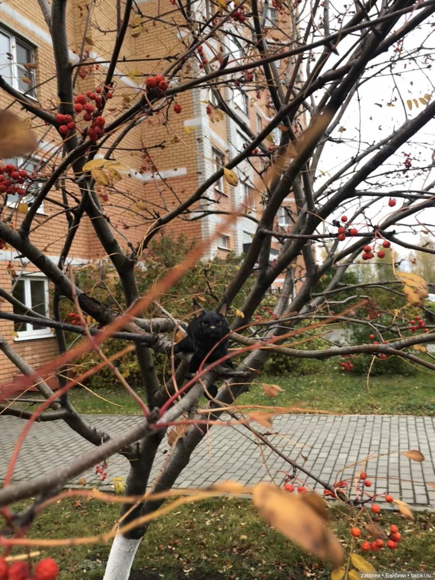 Граф и его осень — Интересные игрушки и фигурки (разное): редкие (фото 6)