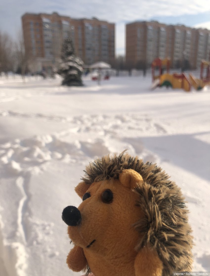 Прогулка с ёжиком в морозное утро или как Пуфик познавал мир