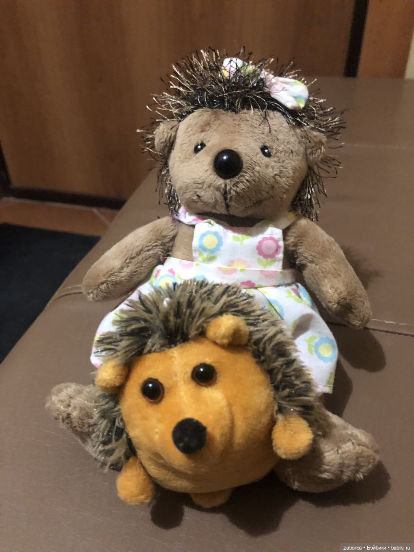 Прогулка с ёжиком в морозное утро или как Пуфик познавал мир