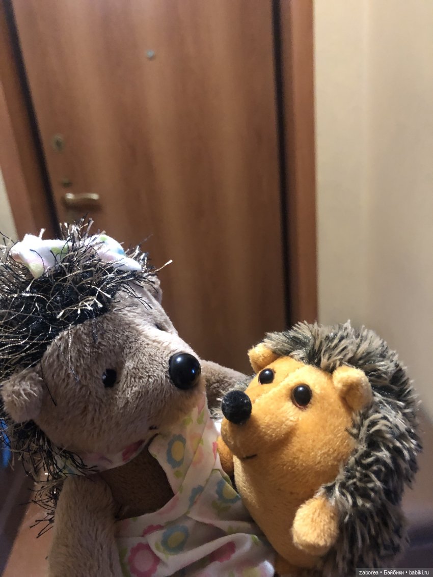 Прогулка с ёжиком в морозное утро или как Пуфик познавал мир (фото 2)