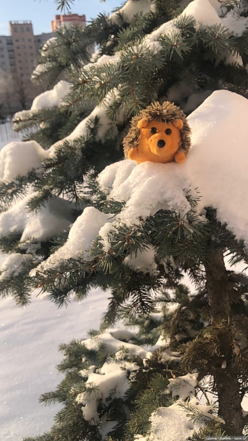 Прогулка с ёжиком в морозное утро или как Пуфик познавал мир