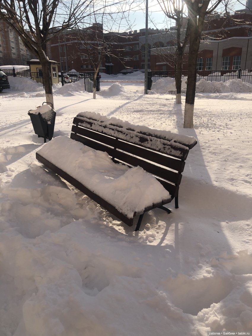 Прогулка с ёжиком в морозное утро или как Пуфик познавал мир (фото 5)