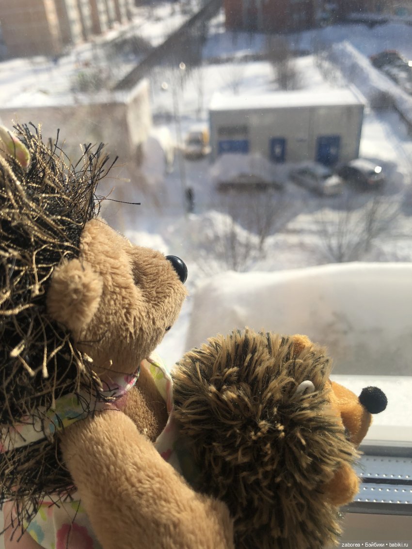 Прогулка с ёжиком в морозное утро или как Пуфик познавал мир