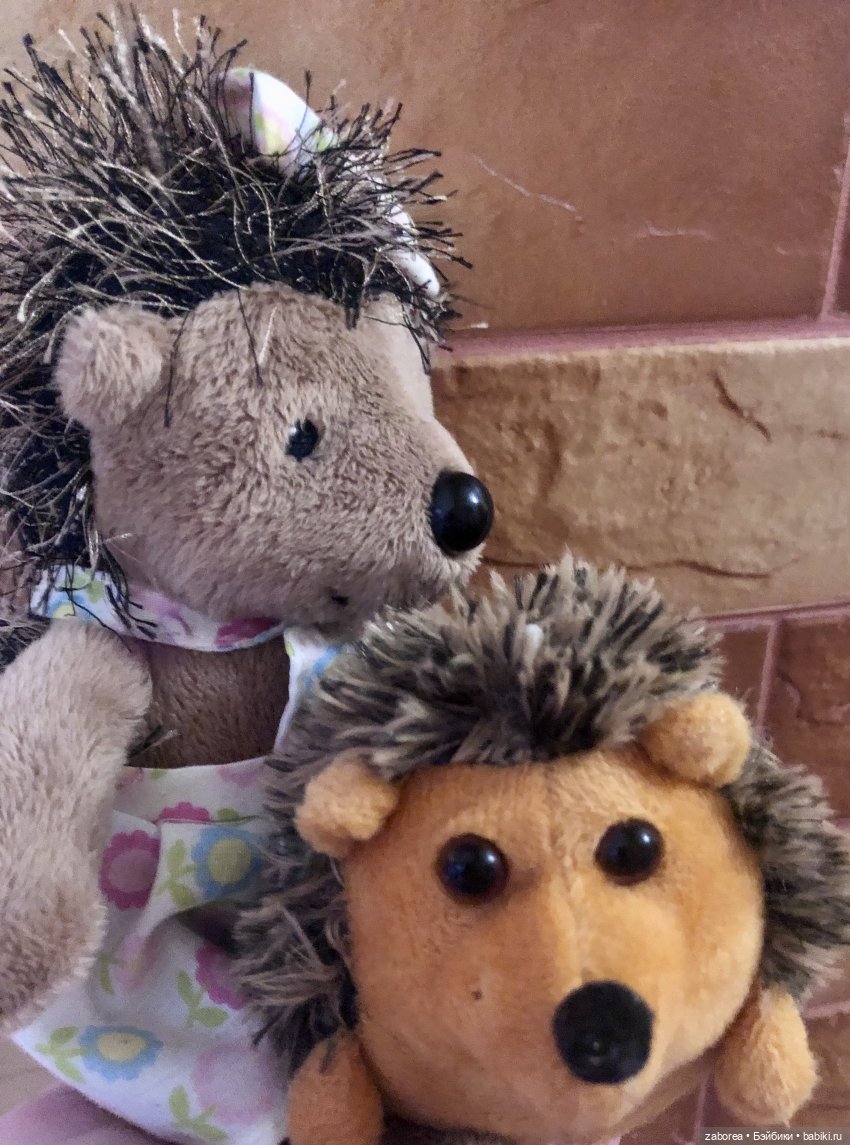 Прогулка с ёжиком в морозное утро или как Пуфик познавал мир