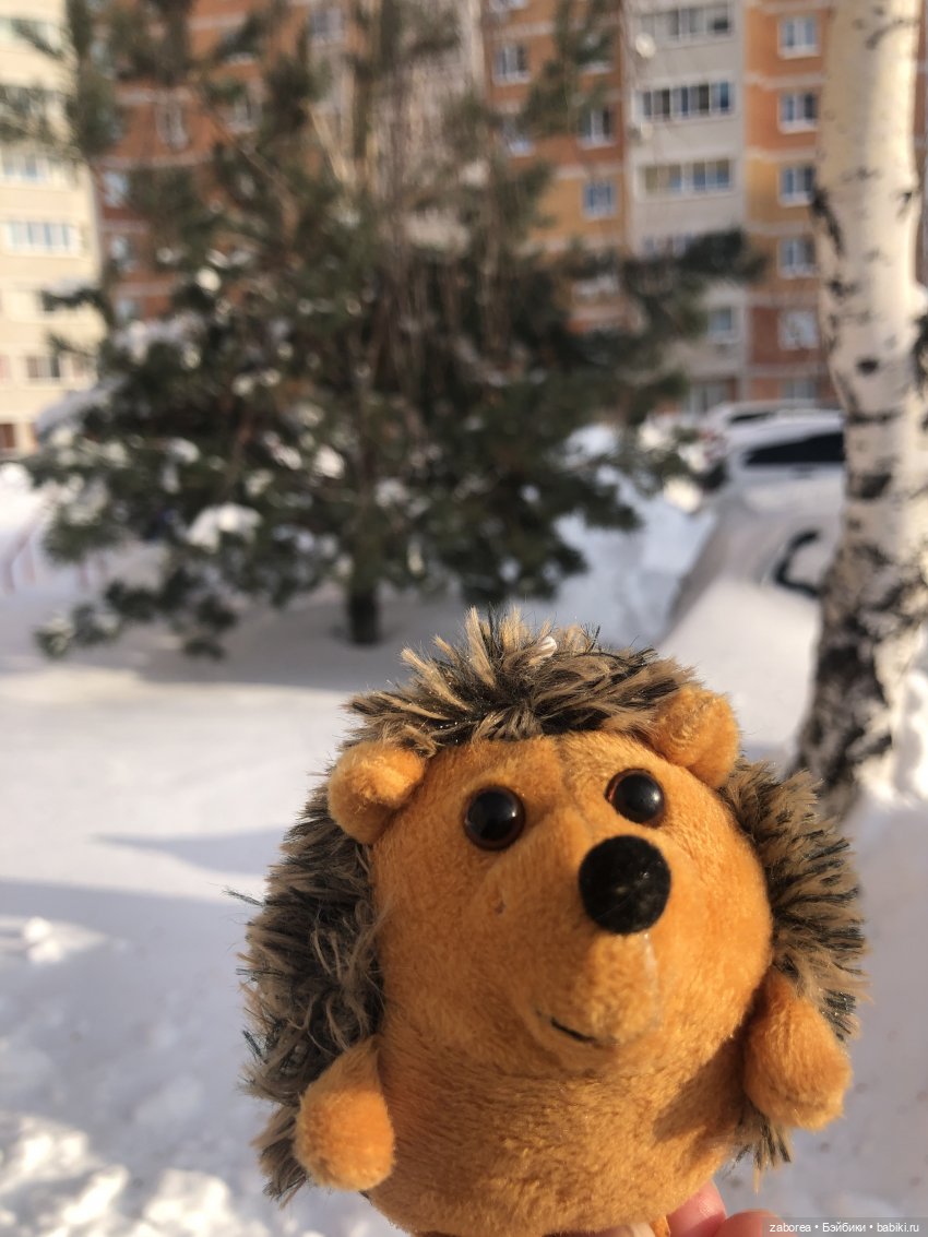 Прогулка с ёжиком в морозное утро или как Пуфик познавал мир