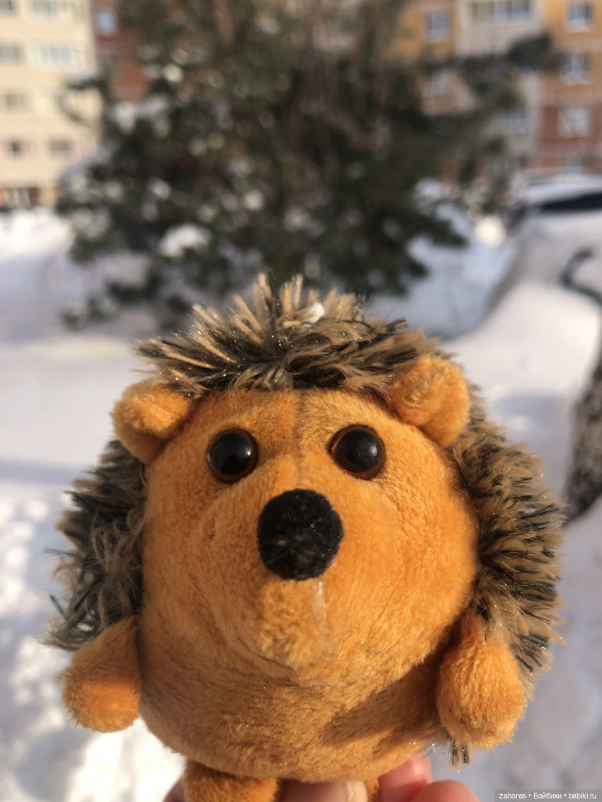 Прогулка с ёжиком в морозное утро или как Пуфик познавал мир (фото 10)