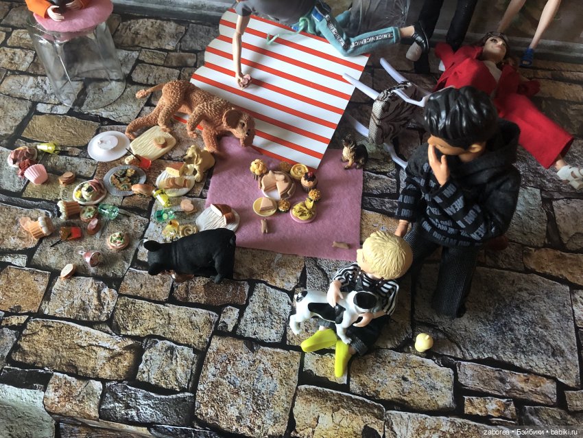 День карликового пуделя или день рождения Доминика