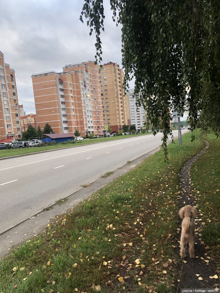 Новенькие куклоличности. Знакомство. Егор