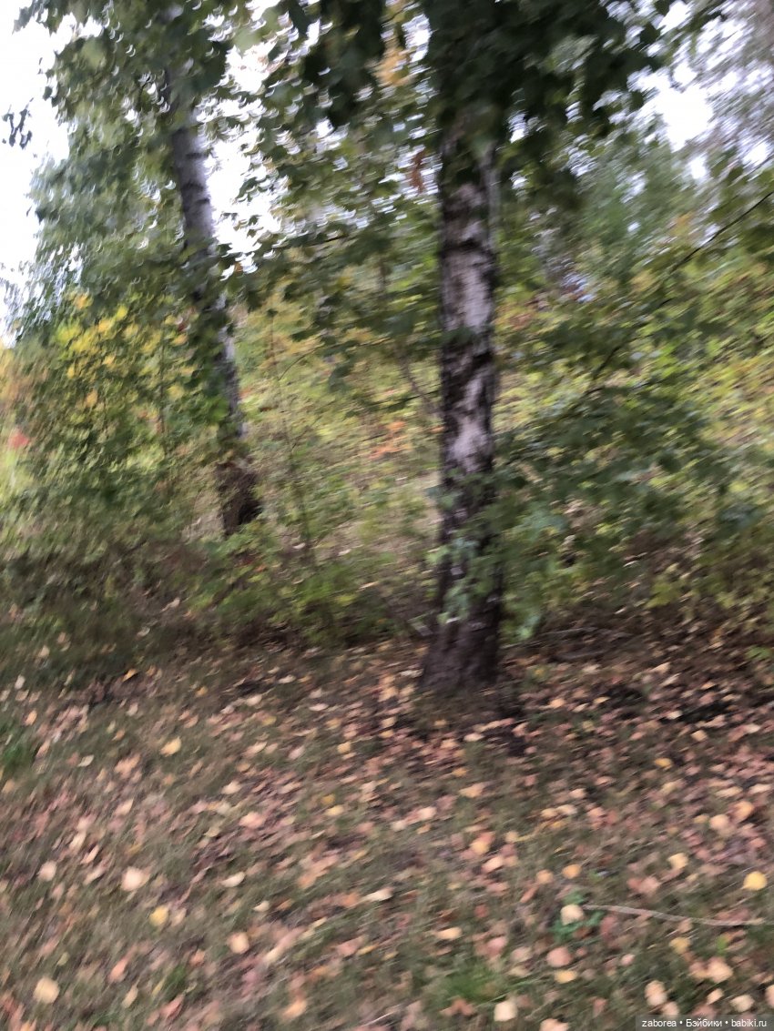 Новенькие куклоличности. Знакомство. Егор (фото 3)