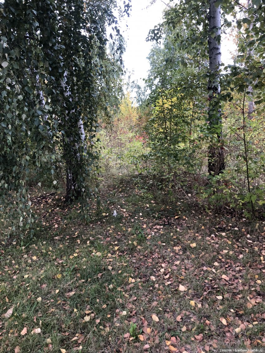 Новенькие куклоличности. Знакомство. Егор