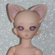 Продам котика Soom FCh Appini Normal