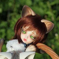 Продам котенка Smokey с частями Appini