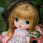 Продам малышку ChoChodoll normal