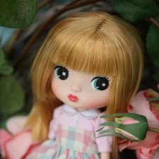 Продам малышку ChoChodoll normal