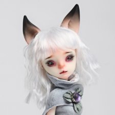 Продам кошку DollChateau Liz normal pink