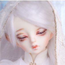 Продам Soom FCh Rang&Dain на теле Ray/Luna с крыльями