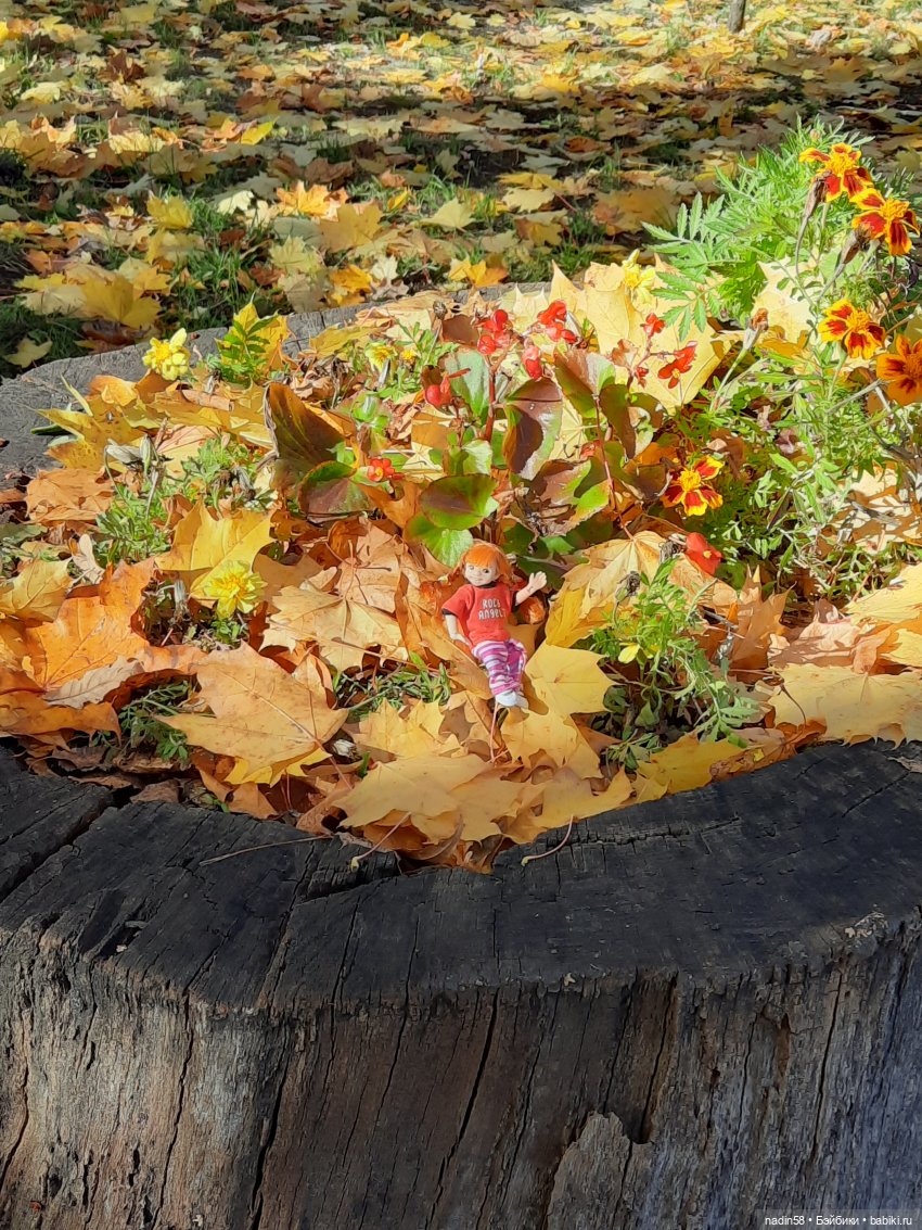 Золотая осень — Авторские игрушки из разных материалов: синельная проволока (фото 2)