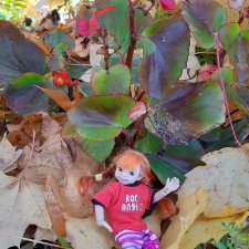 Золотая осень